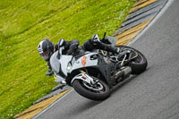 Middle Group Silver_Grey Bikes